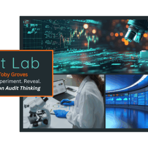IIA Twin Cities Audit Lab Virtual Registration
